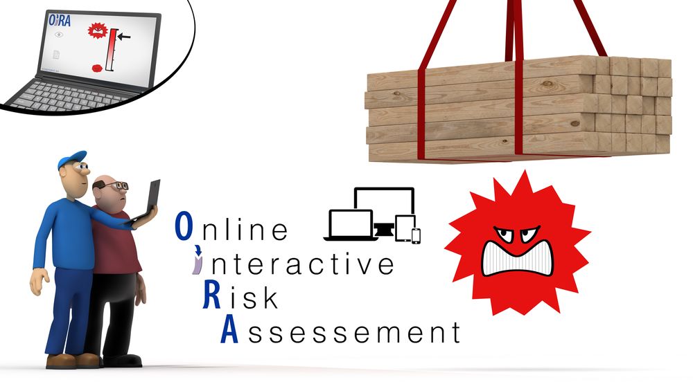 Napo in… risk assessment online